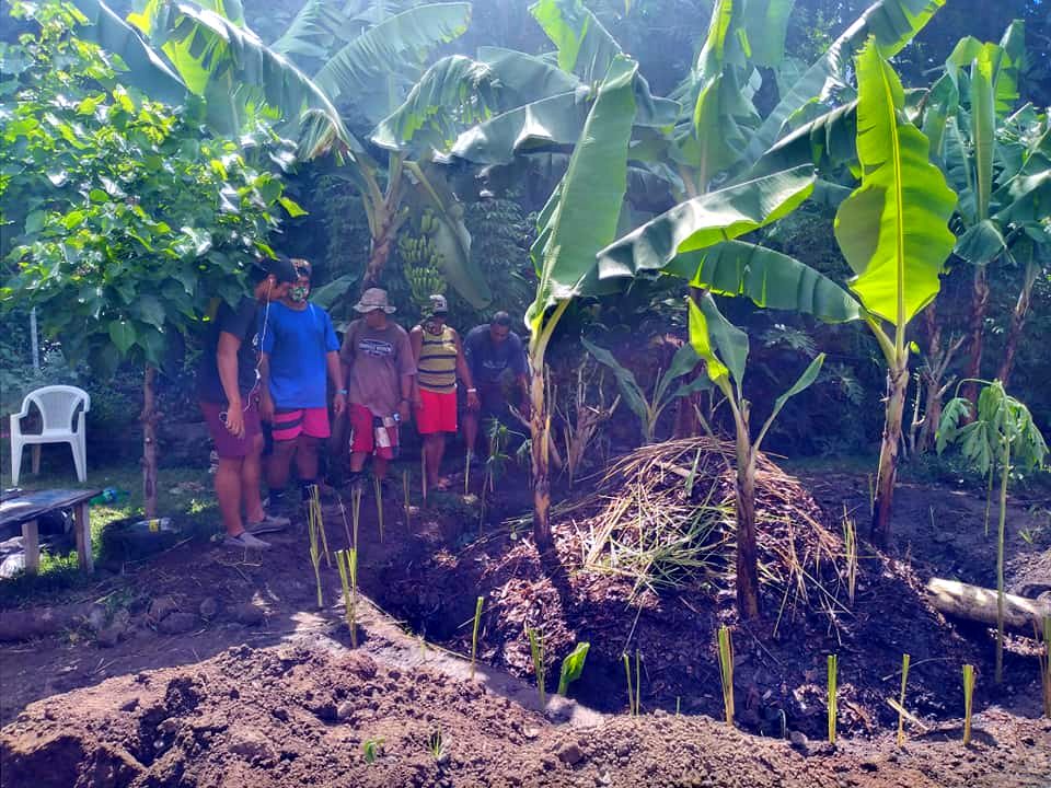 Buttes auto-fertiles en permaculture à Tahiti