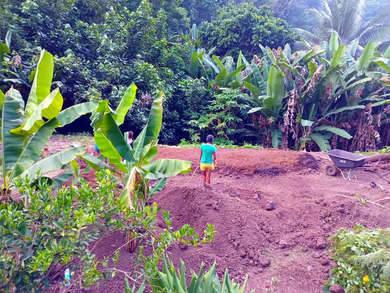 Potager clef en main à Tahiti